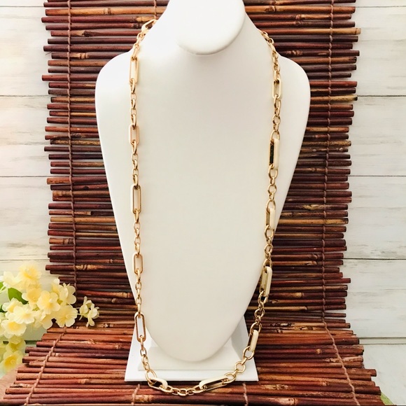 Coldwater Creek Gold Tone Link Long Necklace